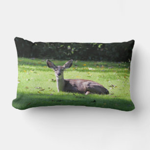 Rectangle Deer reposant sur le Coussin Lumbar de la pelouse