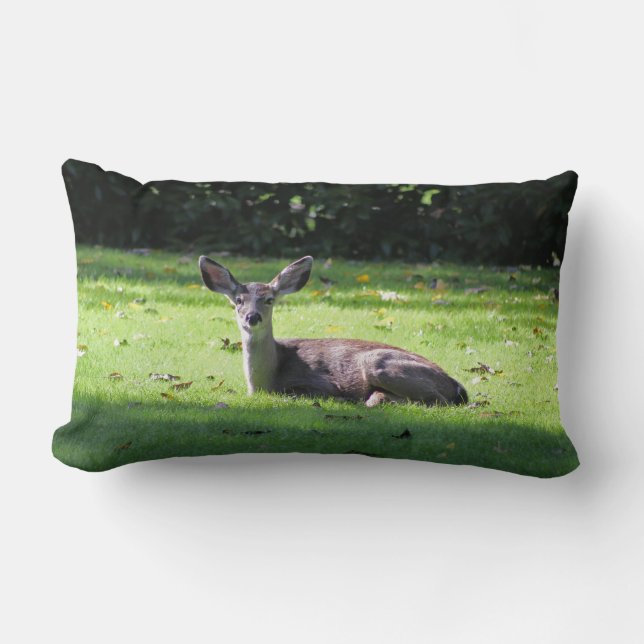 Rectangle Deer reposant sur le Coussin Lumbar de la pelouse (Recto)