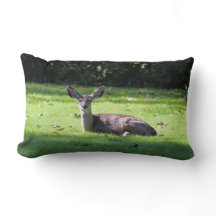Deer reposant sur le Coussin Lumbar de la pelouse