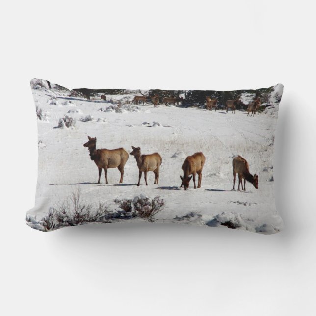 Rectangle Elk dans la neige coussin lombaire (Recto)