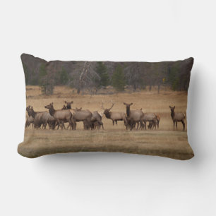 Rectangle Elk réversible sur un Coussin
