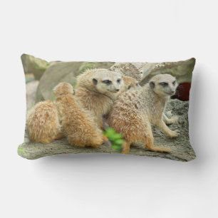 Rectangle Famille Meerkats - coussin