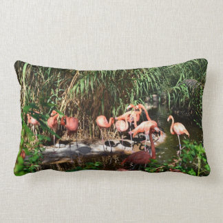 Rectangle Flamants roses Lumbar / Coussin de voyage