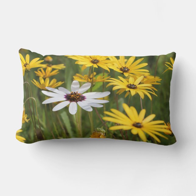 Rectangle Fleurs blanches jaunes Sunny et Coussin positif (Recto)