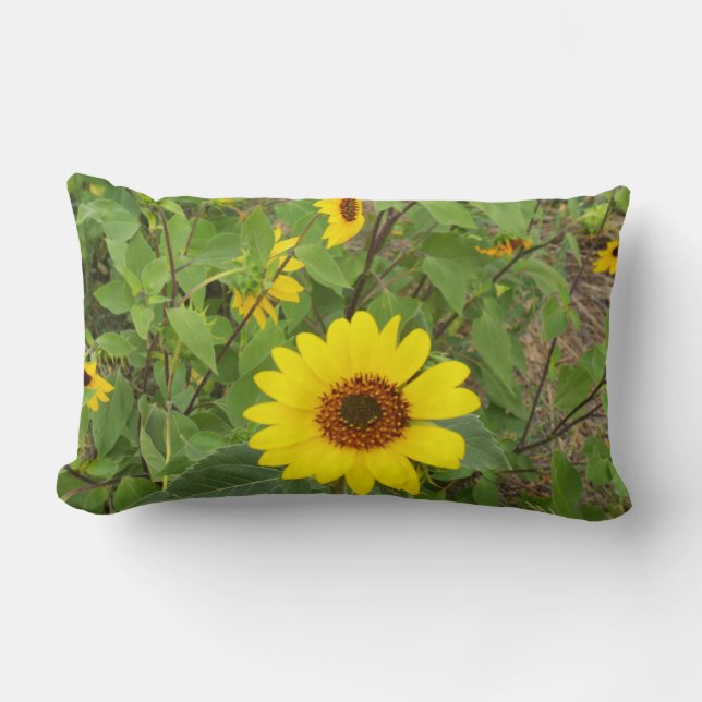 Rectangle Fleurs De Soleil Dans Le Vent, Coussin Lumbar. (Recto)