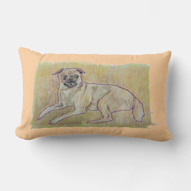 Rectangle Frankie Coussin (Recto)