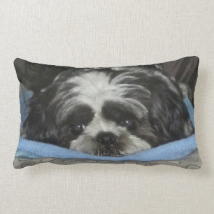 Rectangle Huggable Coussin de chih Tzu
