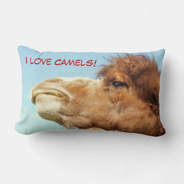Rectangle J'aime des chameaux - coussin (Recto)