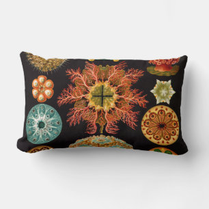 Rectangle La mer injectent le coussin lombaire carré