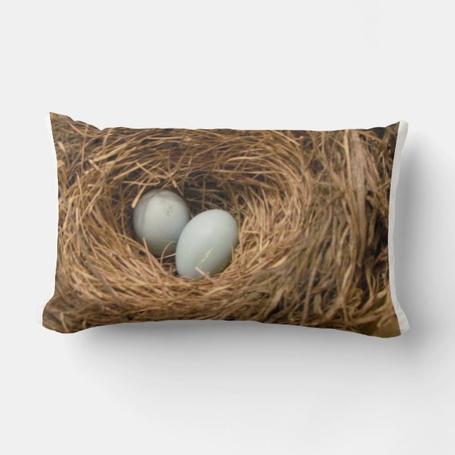 Rectangle Le nid de l'oiseau avec le coussin des oeufs de (Recto)
