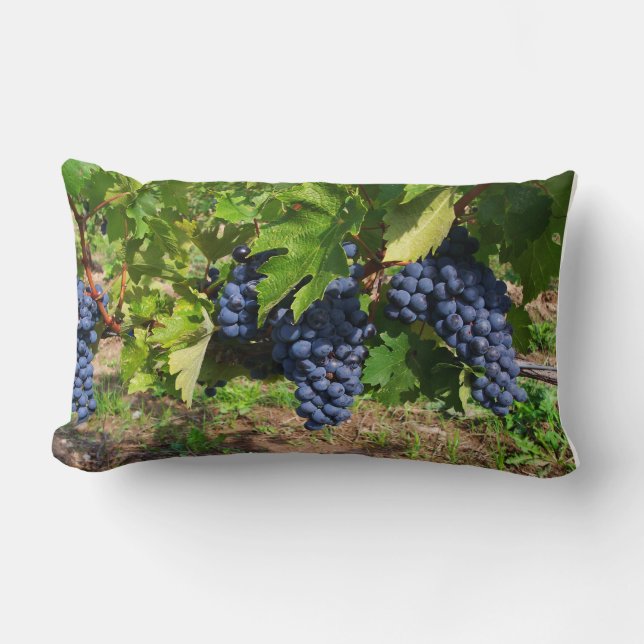 Rectangle Les raisins sur le Coussin de la vigne (Recto)
