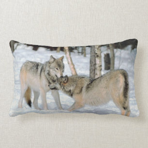 Rectangle Loups dans le coussin lombaire   de neige