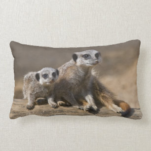 Rectangle Montre avec le coussin de mère