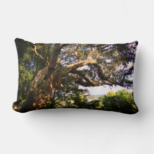 Rectangle Old Tree Photo Lumbar Coussin
