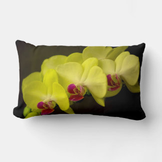 Rectangle Orchidée jaune - Coussin