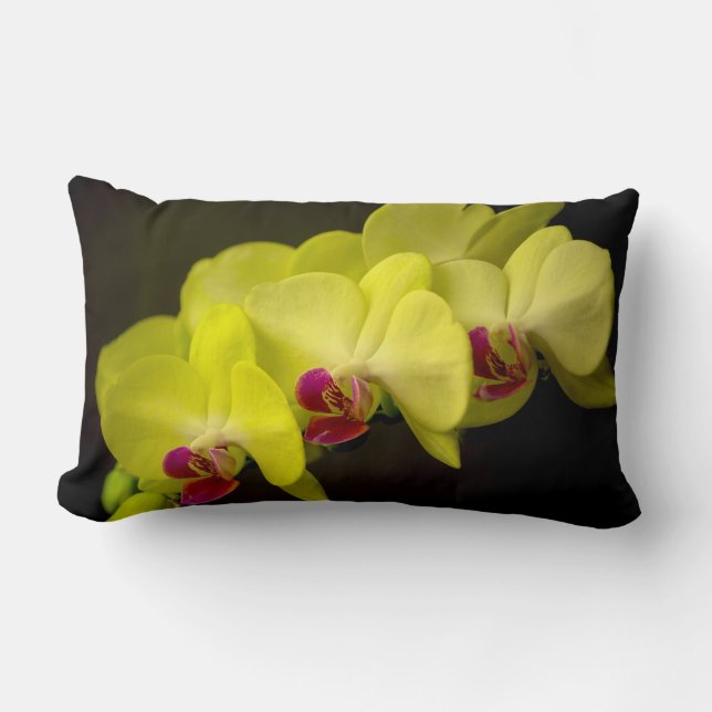 Rectangle Orchidée jaune - Coussin (Recto)