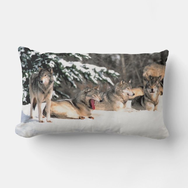 Rectangle Paquet de loups dans le coussin lombaire de neige (Recto)
