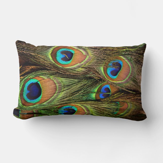 Rectangle Peacock Feathers Lumbar Coussin (Recto)