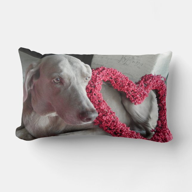 Rectangle Pluie's Love - Weimaraner Chien Pic - Coussin (Recto)