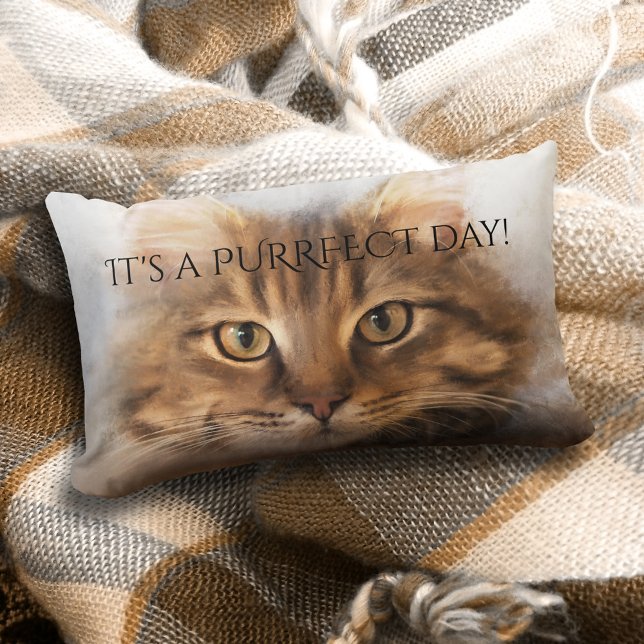 Rectangle Purrfect Tabby Maine Coon Coussin de chat (A lovely pillow featuring a painting of a tabby Maine Coon cat and your custom text)