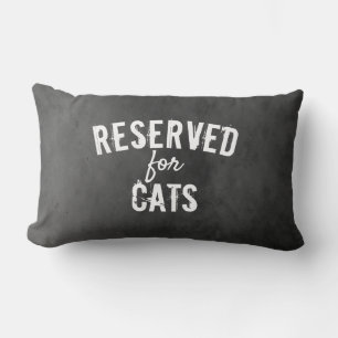 Rectangle réservé au coussin de devis de chat gris en détres