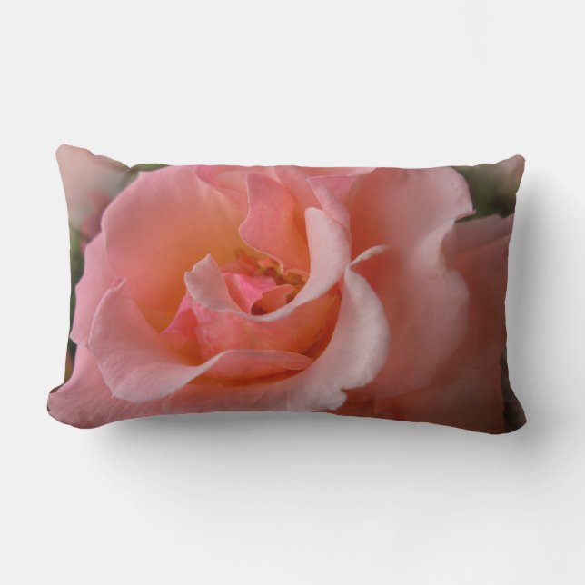 Rectangle Rose Coussin personnalisé Pêche Wild Rose Coussin (Recto)