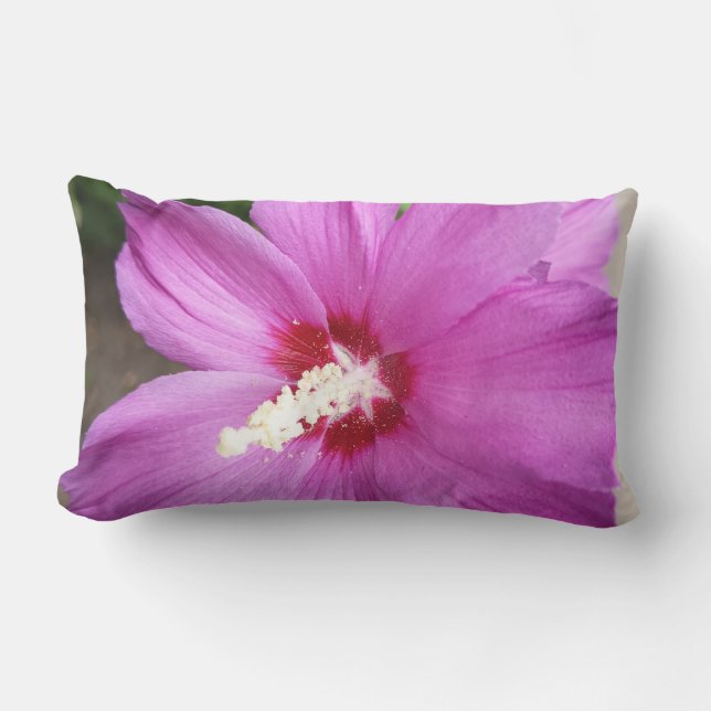 Rectangle Titre Coussin de jet Fleur d'Hibiscus Rose Floral (Recto)