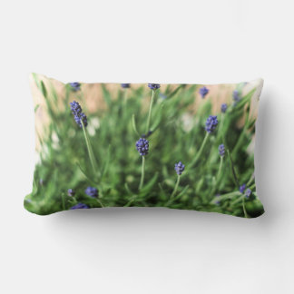 Rectangle Violets Coussin