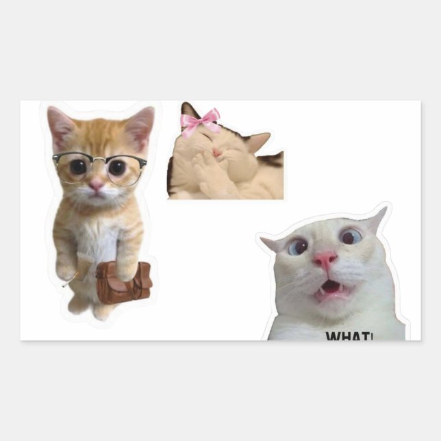 Rectangulaire Cute Artistic Aesthetic Sticker for Laptop  (Devant)