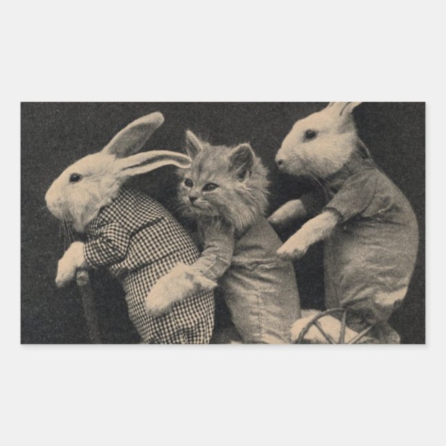 Rectangulaire Deux lapins et un chat sur un scooter Sticker (Devant)