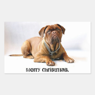 Rectangulaire Mastiff Deadpan Chien Joyeux Sticker de Noël