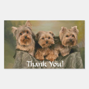 Rectangulaire Merci Sticker Chiens Chiots Yorkshire Terrier