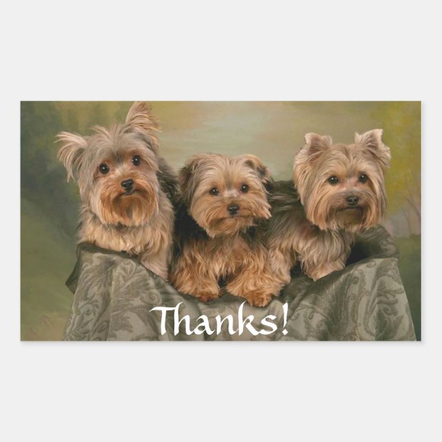 Rectangulaire Merci Sticker Yorkshire Terrier Chiens de marionne (Devant)