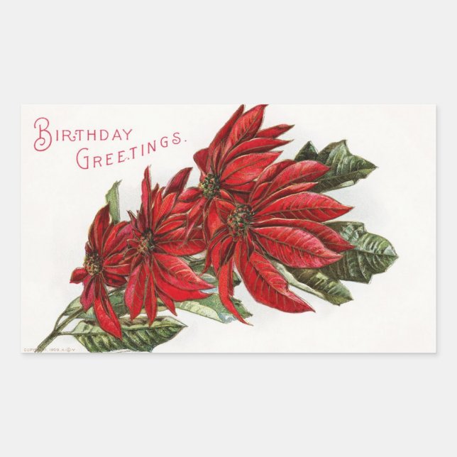 Rectangulaire Poinsettia Décembre Anniversaire Sticker rectangul (Devant)