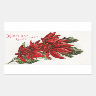 Rectangulaire Poinsettia Décembre Anniversaire Sticker rectangul