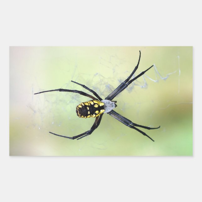 Rectangulaire Sticker Argiope Jardin Noir & Jaune (Devant)