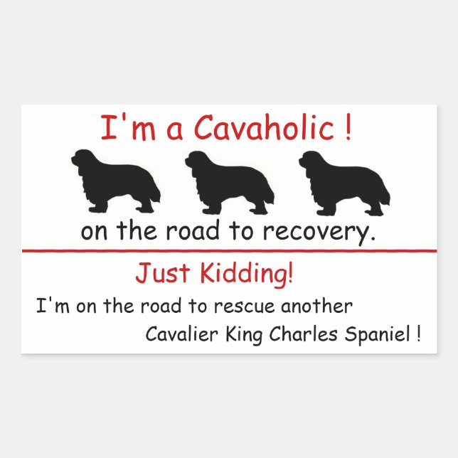 Rectangulaire Sticker Cavaholic Cavalier King Charles (Devant)