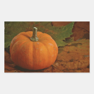 Rectangulaire Sticker Citrouille orange Feuille couleur automne