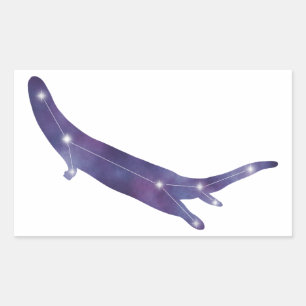 Rectangulaire Sticker de constellation de la rivière Otter