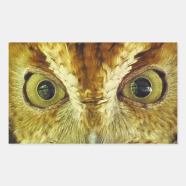 Rectangulaire Sticker de hibou de chenille des yeux de hibou (Devant)
