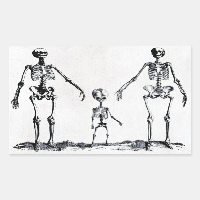 Rectangulaire Sticker de la famille Skeleton (Devant)