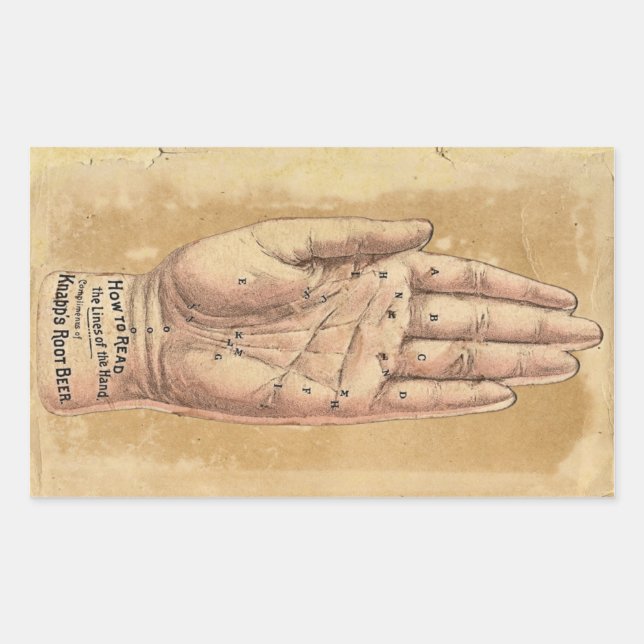 Rectangulaire Sticker de lecture de palme (Devant)