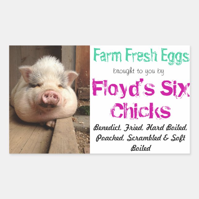 Rectangulaire Sticker en carton d'oeufs (Devant)