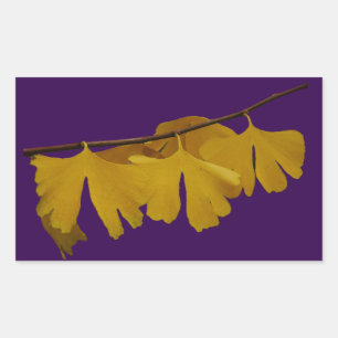 Rectangulaire Sticker Feuille Ginkgo Biloba