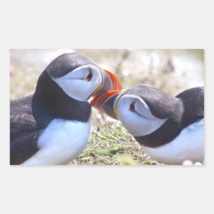Rectangulaire Sticker Kissing Puffins