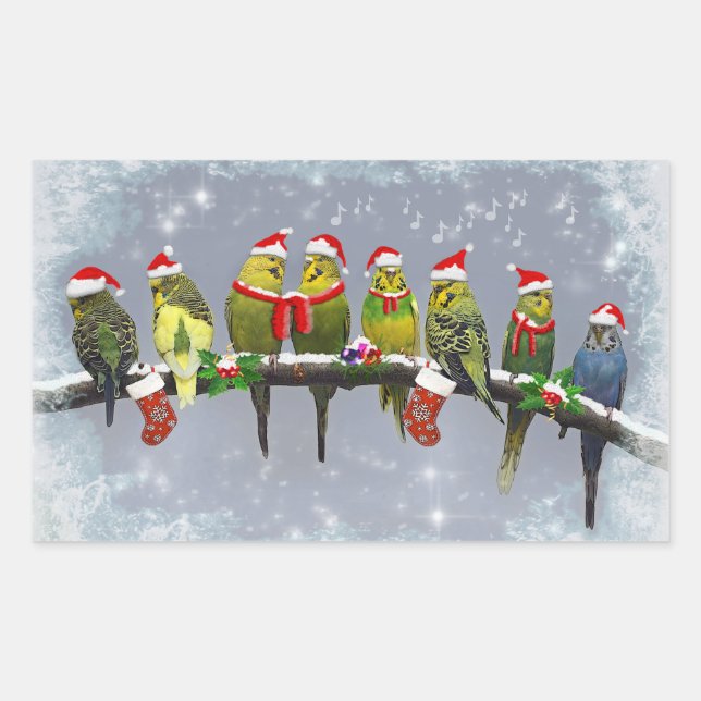 Rectangulaire Sticker Little Carollers (Devant)