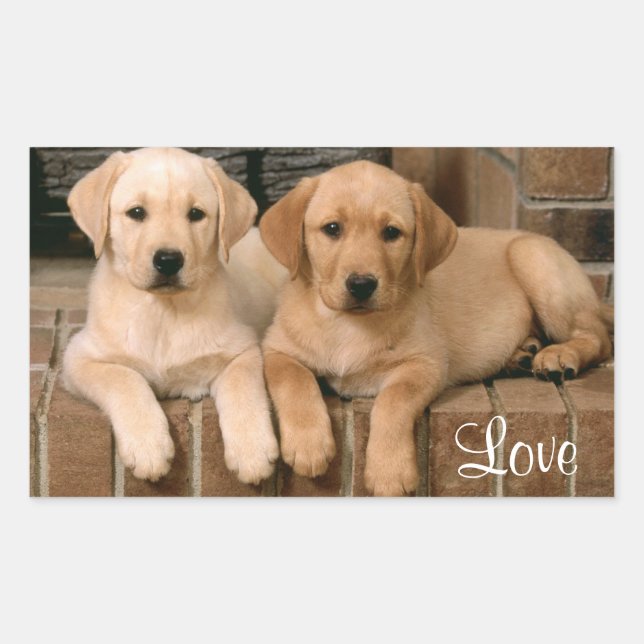 Rectangulaire Sticker Love Labrador Retriever Puppies (Devant)