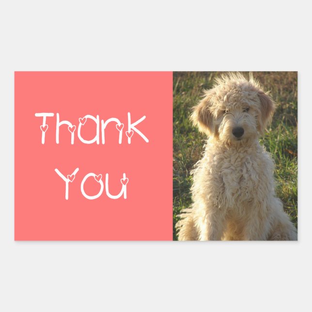 Rectangulaire Sticker Merci Goldendoodle Chien Chien Coquelicot  (Devant)