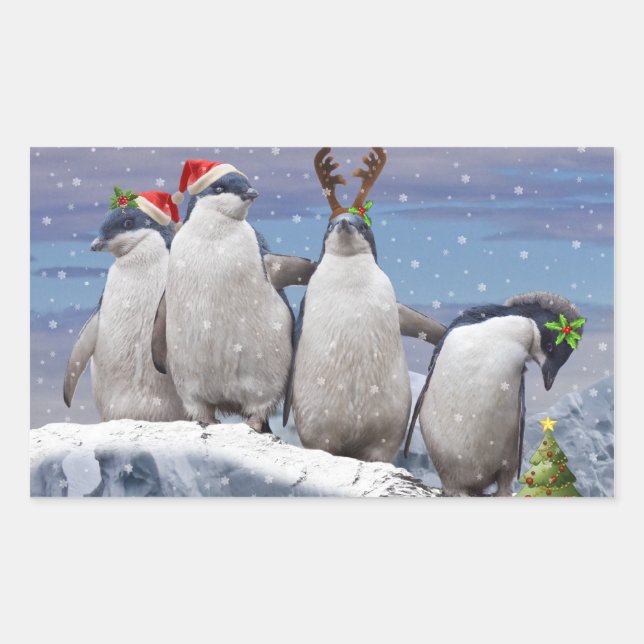 Rectangulaire Sticker Pingos Party (Devant)