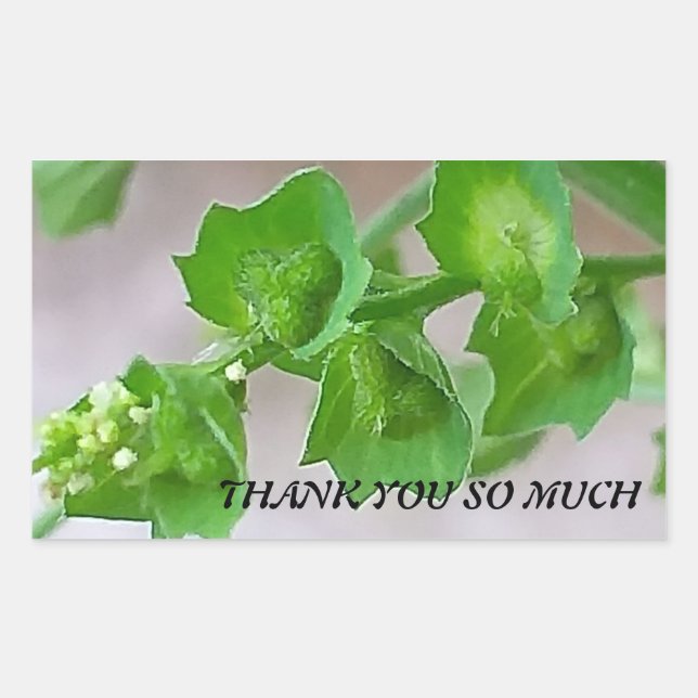 Rectangulaire Sticker pour remerciement (Devant)